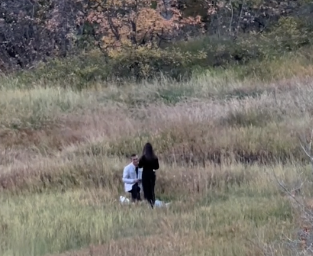 surprise engagement in a field